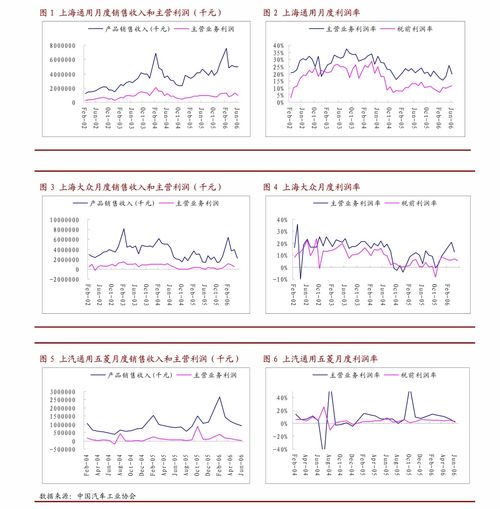 中集车辆 与投资者保护相关的承诺