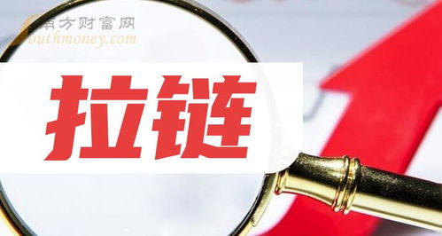 终于有人把拉链上市公司龙头股说清楚了 这只收好 2024 2 26