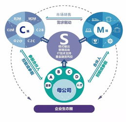 胡八一 平台化组织将引领未来组织变革,阿米巴落地产品