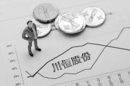 川恒股份豪掷百亿再造两个川恒 市占率领先营收净利6年止步不前