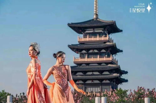 平湖碧桂园 星悦里 地址在哪里 值得购买吗 是否可以投资