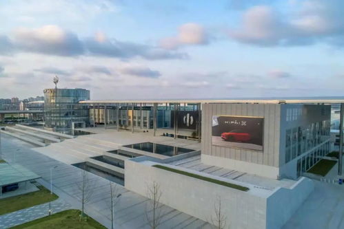 新能源弯道超车 华人运通丁磊与资本的机遇与挑战