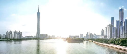 别买错了！这才是广州性价比高的买房投资板块