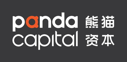 为什么熊猫资本毛圣博会投你？解析投资逻辑与活动推荐