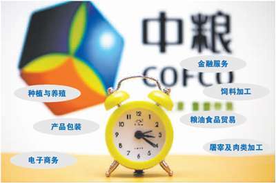 中粮集团的资本版图 从粮仓到资本巨头的战略布局